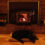 How to Keep a Wood Stove Burning all Night